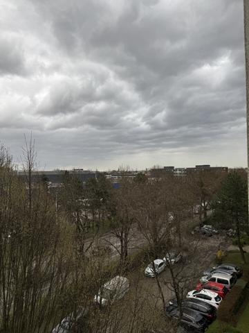 Appartement T3 67200 Strasbourg 71 m2