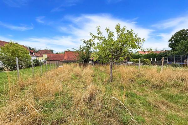 Maison avec dépendances sur 11 ares de terrain