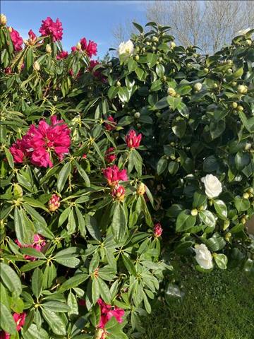 Maison à vendre |  Fouesnant |  5 pièces | 120 m²