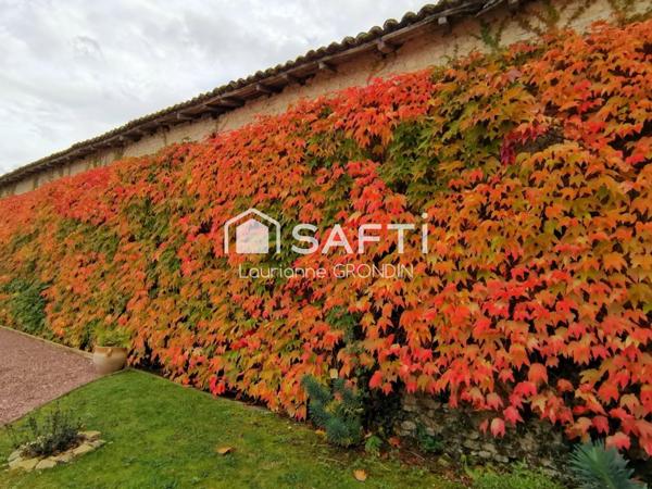 Maison charentaise de charme - BLANZAC-LES-MATHA