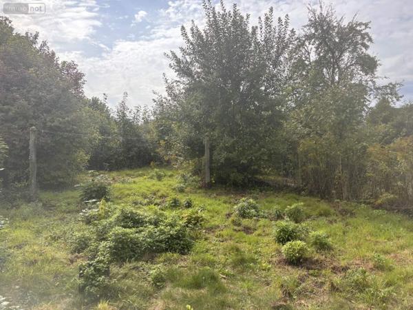 Maison à vendre à Crécy-en-Ponthieu dans la Somme (80150), ref : 113/1748