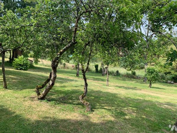 SAINT PIERRE EN AUGE - LIVAROT Ensemble de 2 maisons