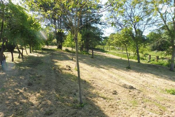 SAINT PIERRE EN AUGE - LIVAROT Ensemble de 2 maisons