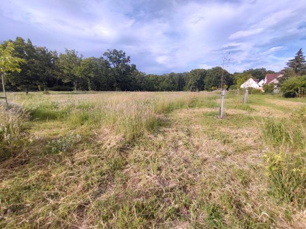 Vente / Terrain constructible