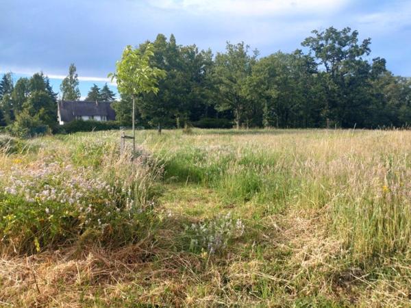 Vente / Terrain constructible