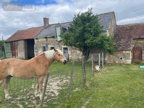 Maison à vendre à Loir en Vallée dans la Sarthe (72340), ref : 13816/929   
campagne