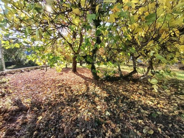 Vente / Terrain à Thorigné-Fouillard (35235)