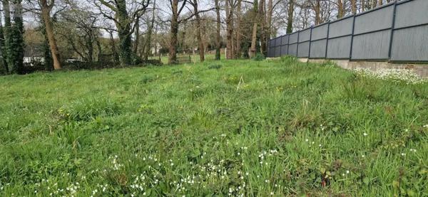 Achat - Terrain à bâtir Pontivy 56300 1069 m 2