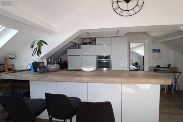 Grande propriété à vendre à Dunkerque dans le Nord (59240), ref : D1020