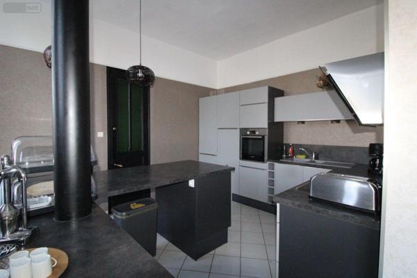 Grande propriété à vendre à Dunkerque dans le Nord (59240), ref : D1020