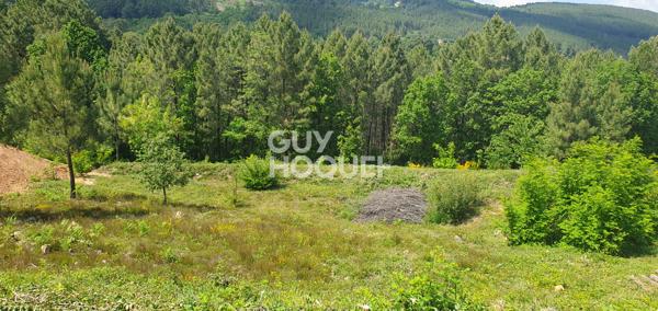 Magnifique parcelle constructible sur Mercuer