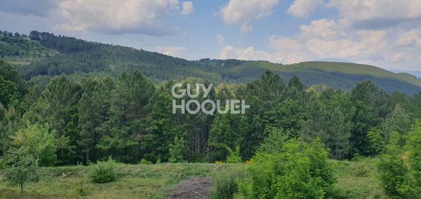 Magnifique parcelle constructible sur Mercuer