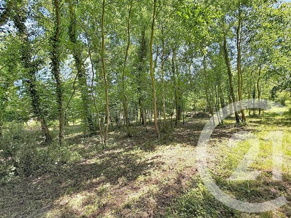 Terrain à vendre  1543 m 2   LA FERTE ST AUBIN  - 45