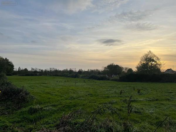 Achat - Terrain à bâtir Bailleul 59270 1853 m 2 2341 m 2