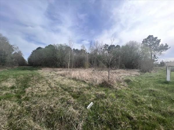 Terrain à vendre |  Étauliers |  1400 m²