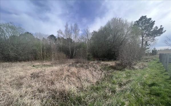 Terrain à vendre |  Étauliers |  1400 m²