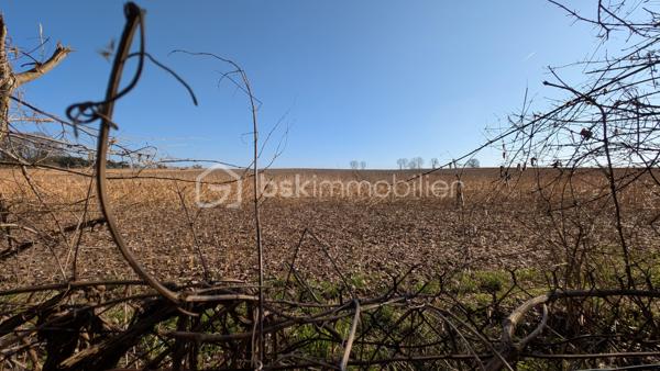 Cette spacieuse maison traditionnelle, située à seulement 5 minutes des principales commodités, vous séduira par son environnement calme et son magnifique terrain boisé agrémenté d’arbres centenaires, offrant une ombre naturelle très appréciable en été.

La propriété dispose de nombreux atouts : tout-à-l’égout, double vitrage, sous-sol, trois garages, terrain entièrement clôturé, insert bois, vue sur les champs, idéal pour profiter pleinement de l’extérieur en toute tranquillité.

Rez-de-chaussée
Cuisine : 13 m²
Toilettes : 1,50 m²
Salle à manger : 22,50 m²
Salon spacieux et lumineux : 35 m²
Chambre : 23 m²

1er étage
Chambre mansardée : 18 m² au sol
Chambre : 16 m²
Pièce (bureau / dressing / chambre d’appoint) : 16 m²
Chambre : 17 m²
Toilettes : 2 m²

✨ Les + de la maison :
Grand terrain arboré avec arbres centenaires
Environnement agréable et ombragé l’été
Deux garages dans le sous-sol et un exterieur
Maison familiale avec beaux volumes
Proximité rapide des commodités

📞 À découvrir sans tarder !