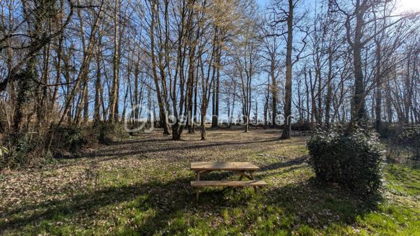 Cette spacieuse maison traditionnelle, située à seulement 5 minutes des principales commodités, vous séduira par son environnement calme et son magnifique terrain boisé agrémenté d’arbres centenaires, offrant une ombre naturelle très appréciable en été.

La propriété dispose de nombreux atouts : tout-à-l’égout, double vitrage, sous-sol, trois garages, terrain entièrement clôturé, insert bois, vue sur les champs, idéal pour profiter pleinement de l’extérieur en toute tranquillité.

Rez-de-chaussée
Cuisine : 13 m²
Toilettes : 1,50 m²
Salle à manger : 22,50 m²
Salon spacieux et lumineux : 35 m²
Chambre : 23 m²

1er étage
Chambre mansardée : 18 m² au sol
Chambre : 16 m²
Pièce (bureau / dressing / chambre d’appoint) : 16 m²
Chambre : 17 m²
Toilettes : 2 m²

✨ Les + de la maison :
Grand terrain arboré avec arbres centenaires
Environnement agréable et ombragé l’été
Deux garages dans le sous-sol et un exterieur
Maison familiale avec beaux volumes
Proximité rapide des commodités

📞 À découvrir sans tarder !
