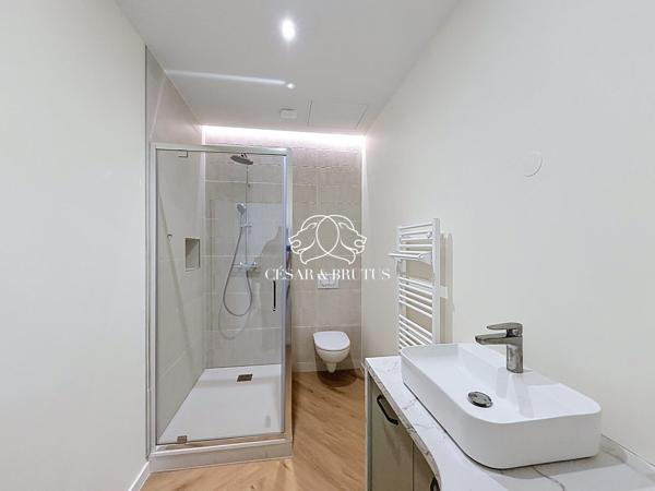 Appartement rue pietonne entièrement rénové 2 chambres