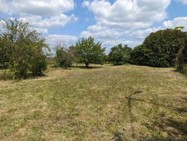 Vente / Terrain constructible