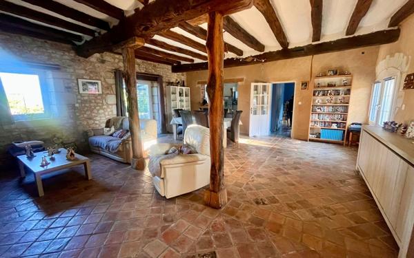 Maison à vendre    8 pièces •  Dangé-Saint-Romain