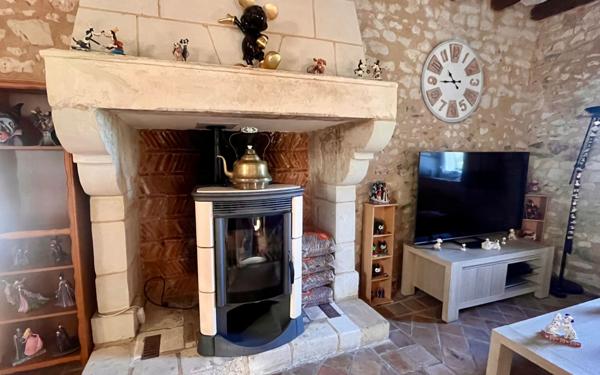 Maison à vendre    8 pièces •  Dangé-Saint-Romain