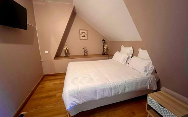 Maison à vendre    8 pièces •  Dangé-Saint-Romain