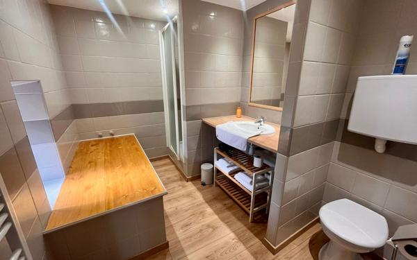 Maison à vendre    8 pièces •  Dangé-Saint-Romain