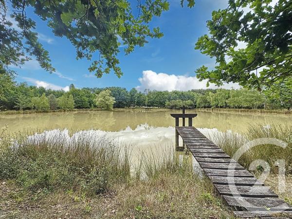 Maison à vendre  7 pièces - 240 m2 ARDON - 45