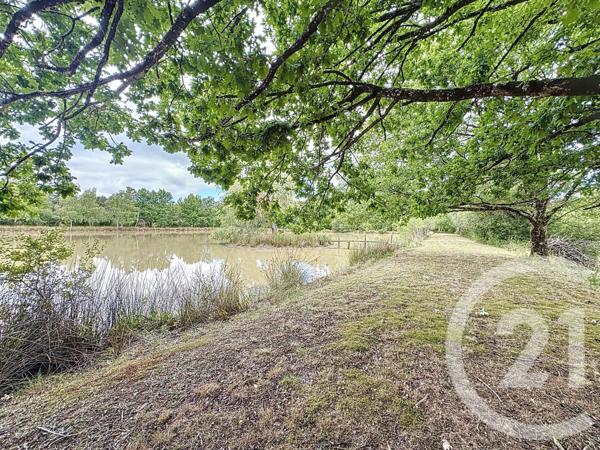 Maison à vendre  7 pièces - 240 m2 ARDON - 45