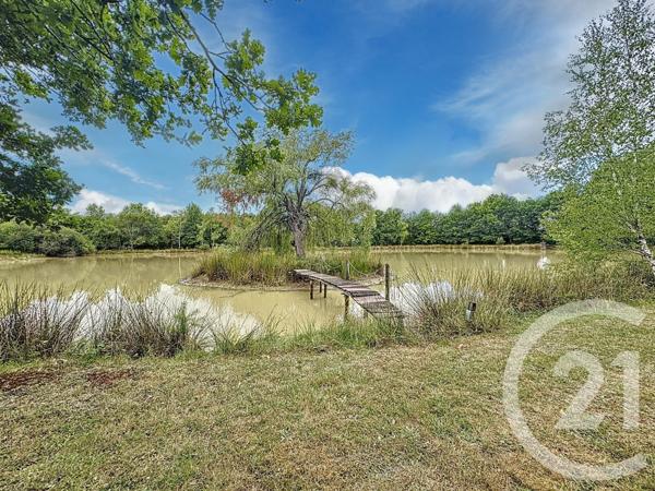 Maison à vendre  7 pièces - 240 m2 ARDON - 45