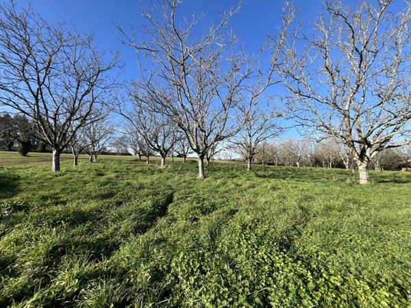 Terrain à vendre |  Liourdres |  1328 m²