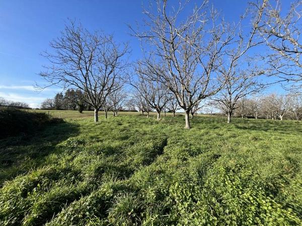 Terrain à vendre |  Liourdres |  1328 m²