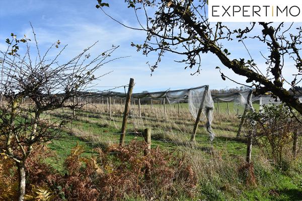 Sainte-Christine (63390) Maison passive de 95 m² sur 7 450 m² de terrain au calme