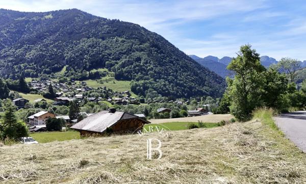 Saint-Jean-d'Aulps, Terrain constructible  1 842 m² à vendre