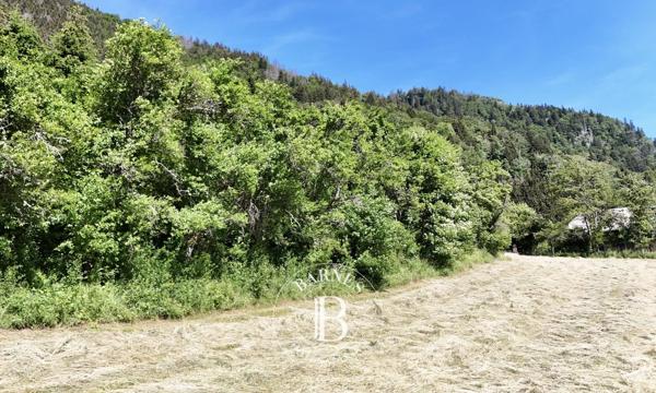 Saint-Jean-d'Aulps, Terrain constructible  1 842 m² à vendre