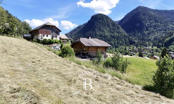 Saint-Jean-d'Aulps, Terrain constructible  1 842 m² à vendre