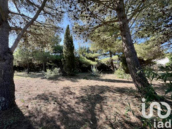 Terrain à vendre 750 m² Roquefort-des-Corbières