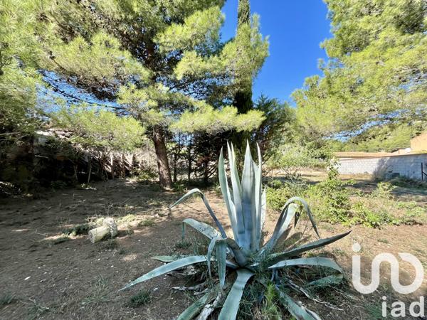 Terrain à vendre 750 m² Roquefort-des-Corbières