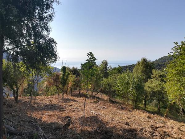 Achat terrain Castillon - 1655 m² - 56 000 €