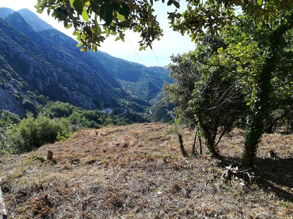 Achat terrain Castillon - 1655 m² - 56 000 €