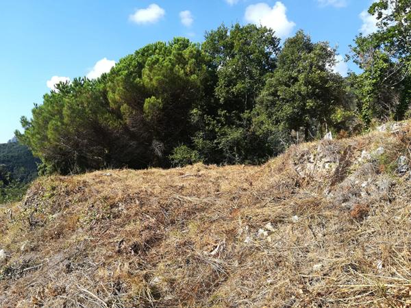 Achat terrain Castillon - 1655 m² - 56 000 €
