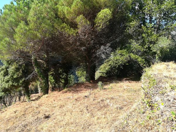 Achat terrain Castillon - 1655 m² - 56 000 €