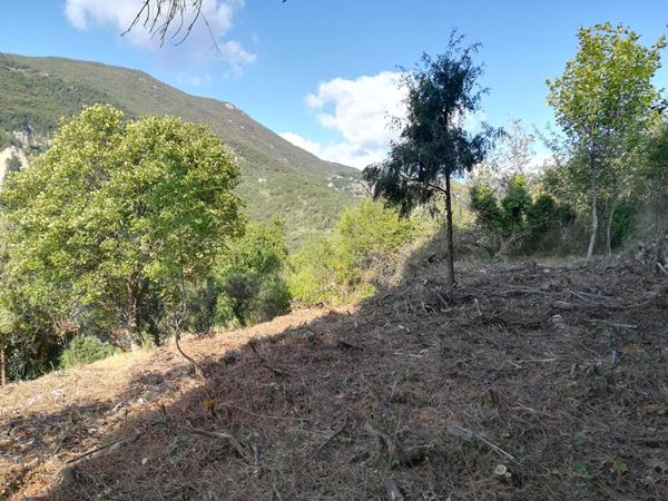 Achat terrain Castillon - 1655 m² - 56 000 €