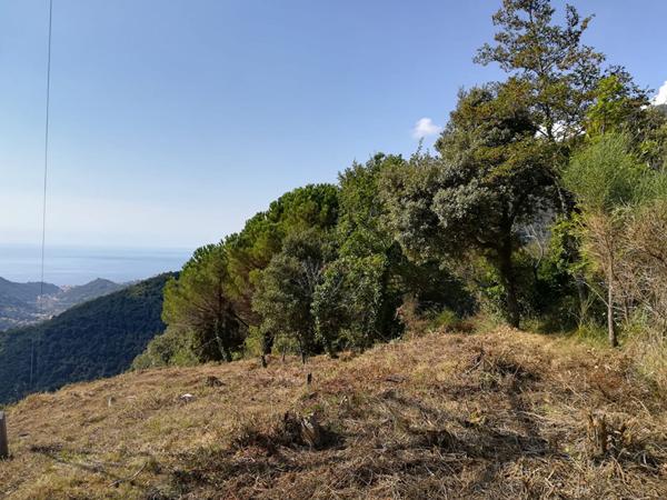 Achat terrain Castillon - 1655 m² - 56 000 €