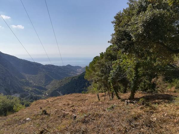 Achat terrain Castillon - 1655 m² - 56 000 €