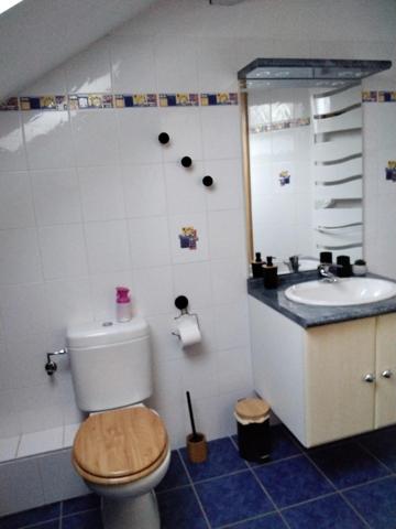 Maison à CHAMP-LE-DUC, 88600 - 6 pièces 160m²