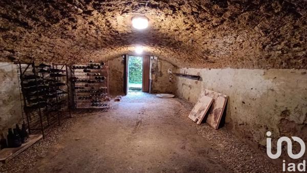 Maison rustique 8 pièces de 184 m² à Chavin (36200)