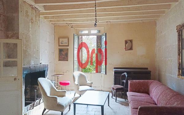 Maison à vendre    3 pièces •  Sasnières