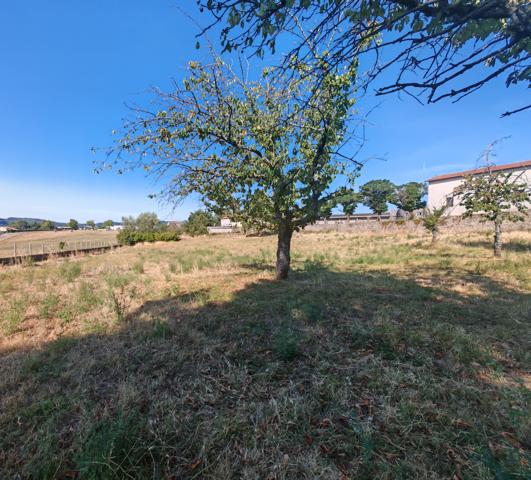 Maison de ville - Garage - Terrain 5000m2